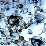 Molecular spectroscopy and optical microscopy platform