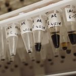 Laboratori d’arqueobotanica