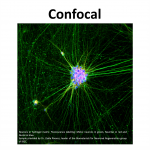 Microscopy characterization