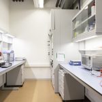UTBM – Unitat de tècniques biològiques i moleculars