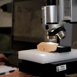 Microscopía Multiescalar para Arqueología